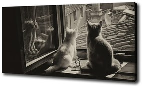 Vászonkép Macskák az ablakban oc-86646592