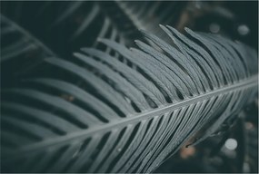 Dekoratív Fotótapéta Hálószobába Zöld levél 104x70 Ragasztó