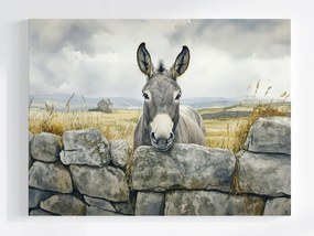 Poszter Tájkép Írország Fal Szamár Természet 100x75