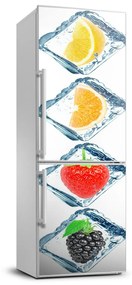 Hűtőre ragasztható matrica Gyümölcs és jég FridgeStick-70x190-f-81551206