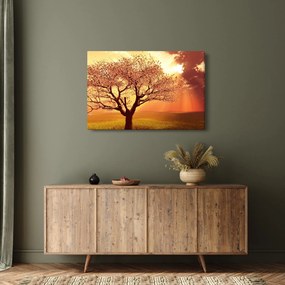 Isten sugarainak képe (90x60 cm)