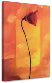 Gario Vászonkép Magányos mákvirág Méret: 40 x 60 cm