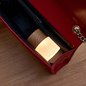 Natúr színű USB fénydekoráció ø 4,5 cm Lemelia – Gingko