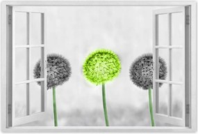 Poszter 60x40 Lime közép