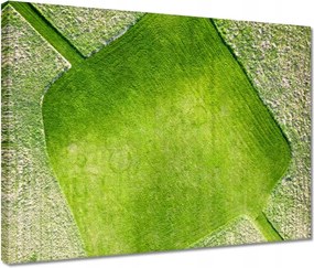 Vászonkép 40x30 Fű mező rét út