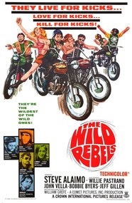 Illusztráció Wild Rebels