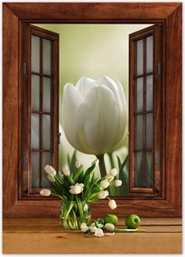 Poszterek 50x70 Fehér tulipánok