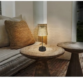 Globo 36634-2S - KÉSZLET 2x LED Napelemes lámpa SOLAR LED/0,06W/3V IP44 szürke