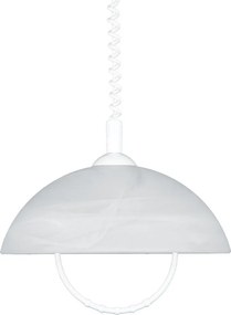 Prezent ALBERT 23068 Függőlámpa 1x60W/E27 IP20