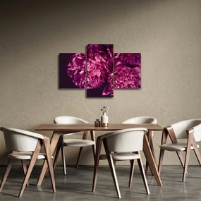 Kép - Csokor pünkösdi rózsa (90x60 cm)