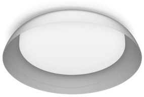 Philips Philips - LED Dimmelhető mennyezeti lámpa FLETA LED/10W/230V 4000K átlátszó P6232