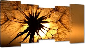 Vászonkép 150x80 Pitypang Virág Virágok