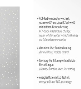 Paul Neuhaus modern mennyezeti lámpa sparkle acél pln14672-55
