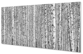 Üvegképek Fekete-fehér fa erdő 140x70 cm