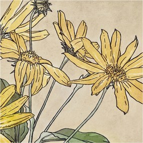 Fotótapéta Flizelin Dekoratív tapéta Virágok akvarell 250x250 Ragasztó