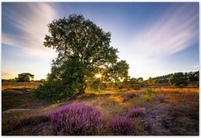 Poszterek 200x135 Tájkép Látvány