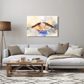 Kép - Álomfogó tollas (90x60 cm)