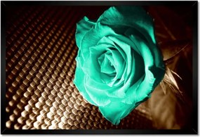 Poszter keretben 60x40 Türkiz rózsa szépia