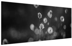 Kép - Pamutfű a réten (120x50 cm)