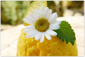 Poszterek 120x80 Gyümölcsös sárgabarack fagylalt