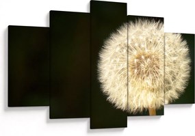 Szürke virág képe (150x105 cm)