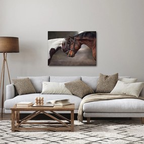 Kép - Szerelmes lovak (70x50 cm)