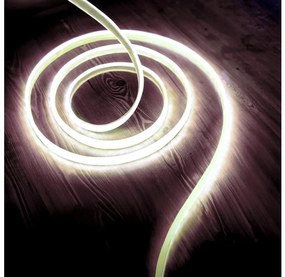 LED Szalag LED/50W/12V 5 m 6500K IP65