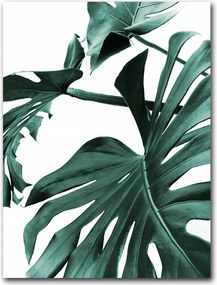 Monster Levelek poszter 30x40 cm nyomtatás kép #138