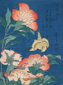 Reprodukció Peonies and canary (1834), Katsushika Hokusai