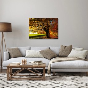 Az őszi kép (üvegen) (70x50 cm)