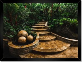 Poszterek keretben 40x30 Trópusi golyók