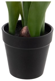 Művirág (magasság 31 cm) Tulips – Ixia
