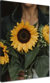 Vászonkép 70x100 Napraforgók Virágok