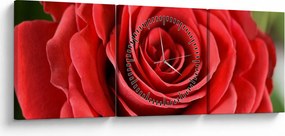 Egy rózsa virág képe (órával) (90x30 cm)