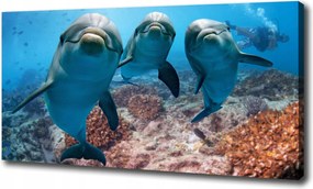 Canvas falikép Delfinek 120x60 cm
