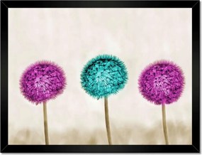 Poszterek keretben 40x30 Pitypangok papírsárkányok