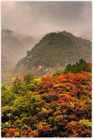 Poszterek 80x120 Tájkép Látvány