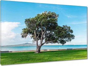 Festmények 120x80 Megtörhetetlen