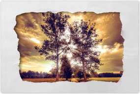 Poszterek 120x80 Vidéki tájkép úttal