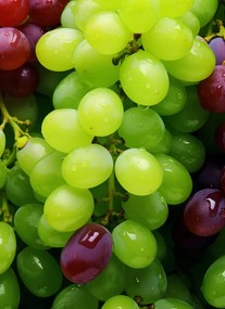 Poszter 40x55cm Szőlő kaleidoszkóp