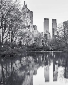 Poszter 40x50cm Központi park Manhattan panorámával 4, Assaf Frank