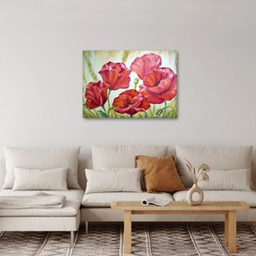 Kép - Pipacsvirágok (70x50 cm)