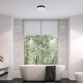 Rabalux 75025-LED Fürdőszobai mennyezeti lámpa GAELO LED/15W/230V átm. 23 cm fekete