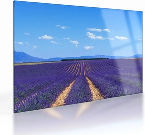 Üveg kép - Levendula mező (70x50 cm)
