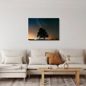 Egy éjszakai égbolt fákkal képe (üvegen) (70x50 cm)