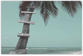 Kép - Palma a Karib-tengeren (90x60 cm)