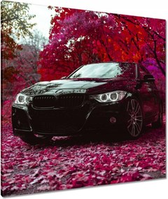 Vászonkép 80x80 Fekete Bmw Ősz