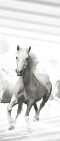 Flizelin fotótapéta Fehér lovak Erő és grácia mozgásban 91x211 +ragasztó