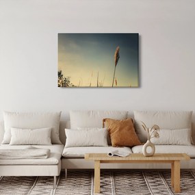 A fű képe (90x60 cm)