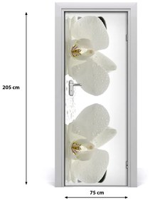 Ajtóposzter öntapadós Orchidea és kövek 85x205 cm